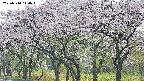 takano3-20250510110045.jpg