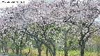 takano3-20250510111044.jpg