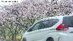 takano3-20250510113044.jpg