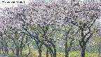 takano3-20250510114044.jpg