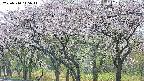 takano3-20250510115042.jpg