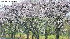 takano3-20250510120045.jpg