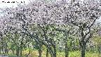 takano3-20250510121045.jpg