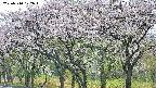 takano3-20250510122044.jpg