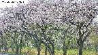 takano3-20250510123045.jpg