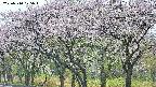 takano3-20250510125044.jpg