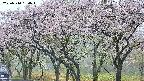 takano3-20250510130044.jpg