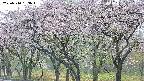 takano3-20250510133045.jpg