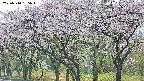 takano3-20250510135045.jpg