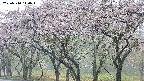 takano3-20250510140045.jpg