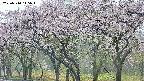 takano3-20250510145044.jpg