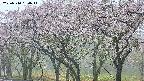 takano3-20250510150046.jpg