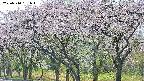 takano3-20250510151045.jpg