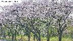 takano3-20250510152044.jpg