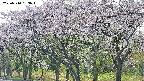 takano3-20250510153045.jpg