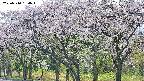 takano3-20250510154044.jpg