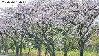 takano3-20250510160046.jpg