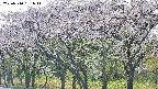 takano3-20250510161043.jpg