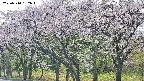takano3-20250510162045.jpg