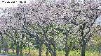 takano3-20250510163043.jpg
