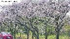 takano3-20250510164043.jpg
