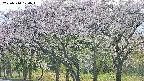 takano3-20250510170044.jpg