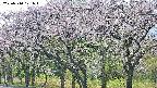 takano3-20250510171045.jpg