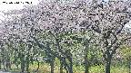 takano3-20250510172044.jpg