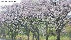 takano3-20250510173044.jpg