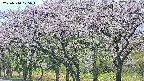 takano3-20250510175044.jpg