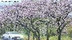 takano3-20250510180042.jpg