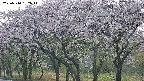 takano3-20250510182042.jpg