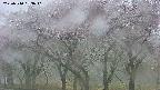 takano3-20250510183041.jpg