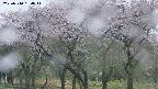 takano3-20250510184042.jpg