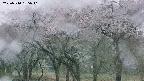 takano3-20250510185041.jpg