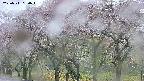 takano3-20250511050044.jpg