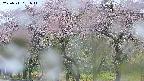 takano3-20250511051042.jpg
