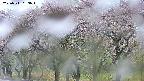 takano3-20250511053044.jpg