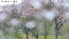 takano3-20250511054044.jpg