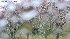 takano3-20250511055044.jpg