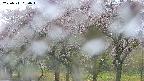 takano3-20250511060043.jpg