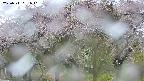 takano3-20250511061041.jpg