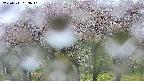 takano3-20250511063041.jpg