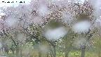 takano3-20250511064043.jpg