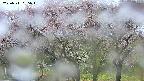 takano3-20250511065043.jpg