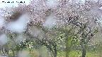 takano3-20250511070043.jpg