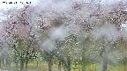 takano3-20250511071043.jpg