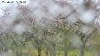 takano3-20250511072042.jpg