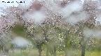 takano3-20250511074043.jpg