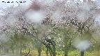 takano3-20250511075042.jpg